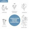 ÉLIXIR STRESS BIO | APAISEMENT | REGULATION EMOTIONNELLE | DETENTE | SURMENAGE | ANXIETE | RHODIOLA, AUBEPINE, CAMOMILLE ROMA