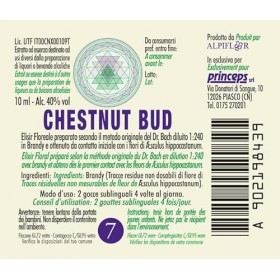 Chestnut Bud n° 7 Fleurs de Bach Original farmaflor