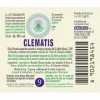 Clemantis n° 9 Fleurs de Bach Original farmaflor