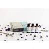 Original Dr. Bach Gouttes avec Healing Herbs Ltd Essences Kit complet "apaisant"