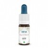 Deva - Chêne oak- n°22 bio 15 ml 