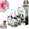 Dendrobium & Mullein Extract Herbal Drop Respinature Herbal Lung Cleanse Brume Puissant Soutien pulmonaire, 30 ml Spray à bas