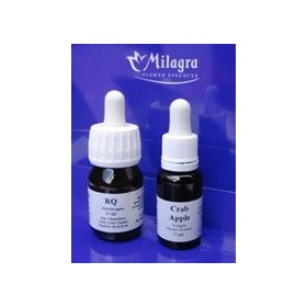 Etui en cuire dessences de fleurs de Bach 15 ml