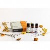 Dr Bach Gouttes, Fleurs de Bach Kit complet dagression et dagression, colère, conflits, anti-stress et fermeté