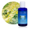 Hydrolat Eau florale : Hélichryse italienne BIO - Helichrysum italicum - 1000 ml