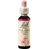 Bach Original Bach-Blüten Nr. 10 Crab Apple Holzapfel Tropfen, 20 ml Solution