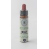 Holly n° 15 Fleurs de Bach Original farmaflor
