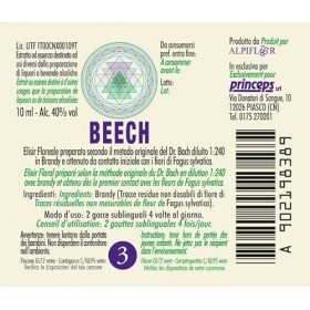 Beech N°3 Fleurs De Bach Original farmaflor