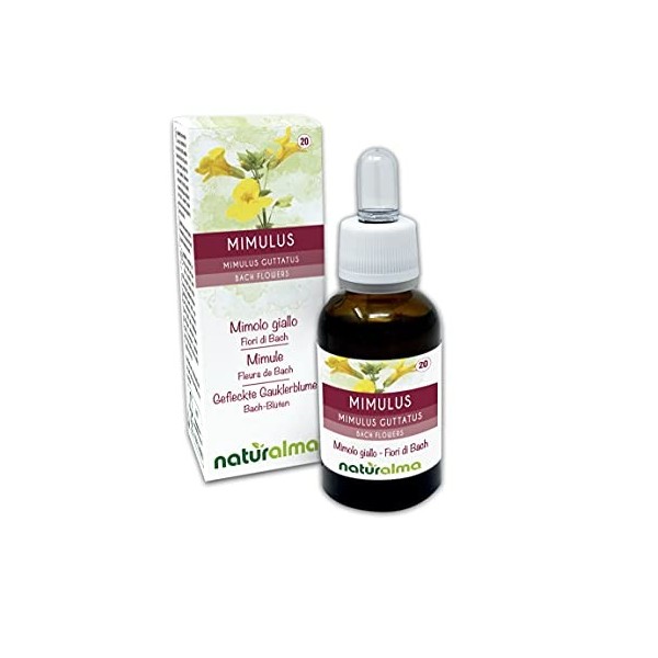 Mimulus ou Mimule Mimulus guttatus Fleurs de Bach Naturalma | n. 20 | Gouttes 30 ml | Extrait liquide sans alcool | Essence