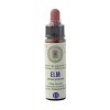 Elm n° 11 Fleurs de Bach Original farmaflor