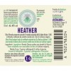 Heather n° 14 Fleurs de Bach Original farmaflor