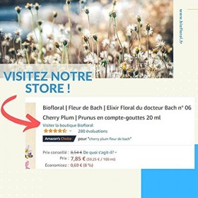 Biofloral Infusion aux Fleurs de Bach Concentration et Mémoire aux Fleurs de Bach 20 Sachets