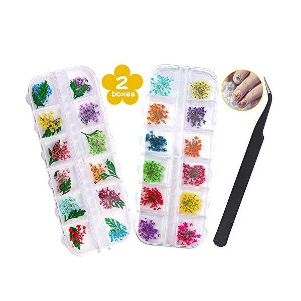 Fleurs Séchées pour Ongles – 2 Boîtes 36 Pièces de Fleurs Séchées pour Travaux Manuels en Résine, Nail Art Séchées Fleurs D