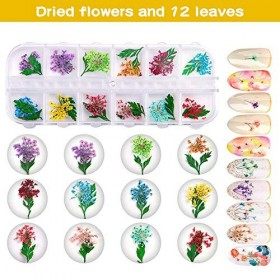Fleurs Séchées pour Ongles – 2 Boîtes 36 Pièces de Fleurs Séchées pour Travaux Manuels en Résine, Nail Art Séchées Fleurs D