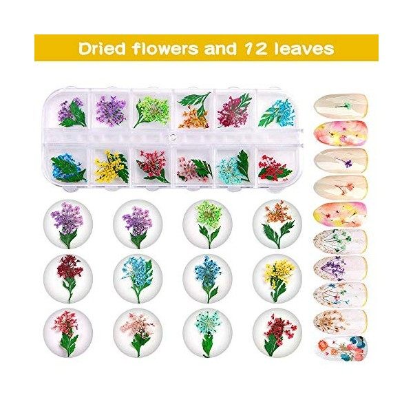 Fleurs Séchées pour Ongles – 2 Boîtes 36 Pièces de Fleurs Séchées pour Travaux Manuels en Résine, Nail Art Séchées Fleurs D