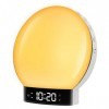 Shinmax Reveil Lumineux avec Bluetooth Simulateur dAube et Crépuscule Réveil Matin Lumineux Fonction Snooze Radio FM Lampe C