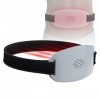 Panneau thérapie par lumière rouge, dispositif soulagement douleur par lumière rouge Thérapie par lumière infrarouge avec 100