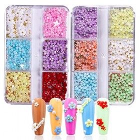 Fezf Fleurs Ongle Nail Art 3D, 2 Boîtes Flower Nail Art,Élégantes Ongles Embellissements,Breloques pour Ongles Accessoires,Bi