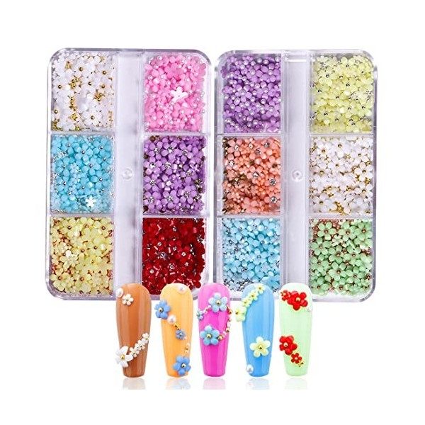 Fezf Fleurs Ongle Nail Art 3D, 2 Boîtes Flower Nail Art,Élégantes Ongles Embellissements,Breloques pour Ongles Accessoires,Bi