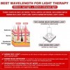 JOBYNA Thérapie par la lumière Rouge et Infrarouge pour Le pied & la cheville Douleur, 660nm 850nm Luminothérapie Lampe Infra