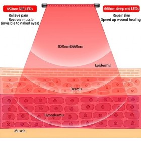 Trayvespace Thérapie Lumiere Rouge avec Support, 660nm ＆850nm Thérapie infrarouge Lumière Rouge avec Minuterie, 80LEDs 4 Tête