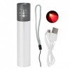 Baguette Chauffante Infrarouge Portable avec Lampe Rouge, Lampe Chauffante Portative Comprenant une Ampoule de Rechange, Lamp