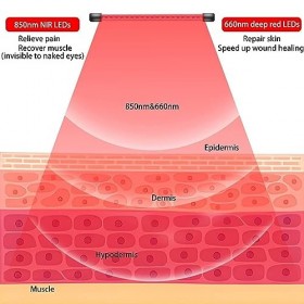 Lumière Infrarouge, Minuterie LED Lumière Infrarouge 660 Nm 11 luminosité Angle Réglable pour le Visage Prise UE 