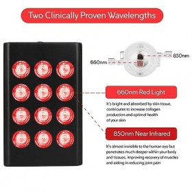 Lampe de thérapie par la lumière rouge portable Rechargeable intégrée Portable double puce lumière rouge lumière infrarouge g