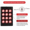 Lampe de thérapie par la lumière rouge portable Rechargeable intégrée Portable double puce lumière rouge lumière infrarouge g