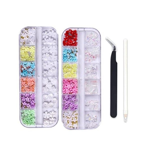 2 Boîtes 3D Fleur Nail Art, Résine Pétale Acrylique Nail Art Ornement Or et Argent Perles Mixte DIY Bijoux Nail Design Access