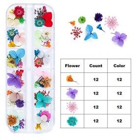 iFancer Lot de 6 boîtes de fleurs séchées pour résine artisanale, nail art, mélange de petites fleurs séchées environ 260 pi