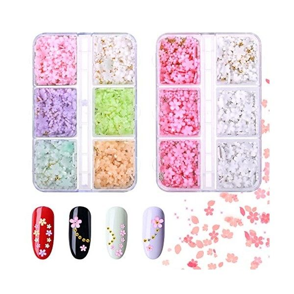 2 Boîtes Fleurs Nail Art Charms 3D Acrylique Fleurs Strass Ongles Couleur Cinq Pétale Fleurs Décorations pour Ongles avec Or 