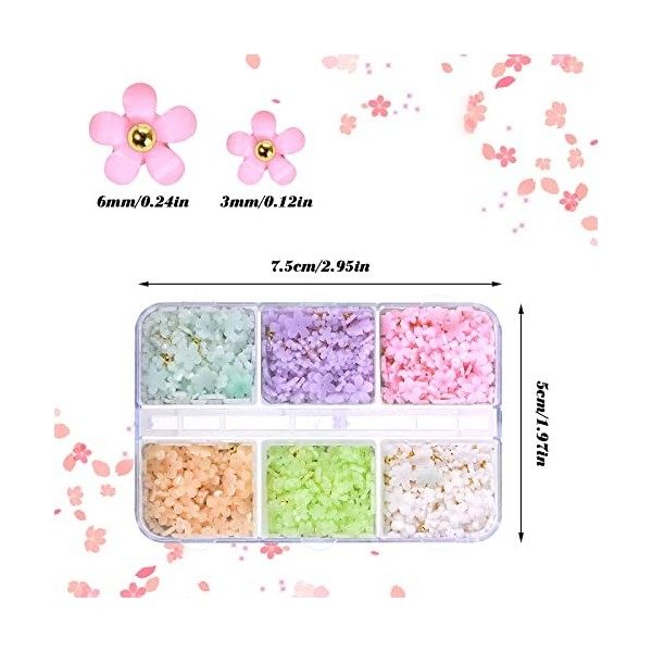 2 Boîtes Fleurs Nail Art Charms 3D Acrylique Fleurs Strass Ongles Couleur Cinq Pétale Fleurs Décorations pour Ongles avec Or 