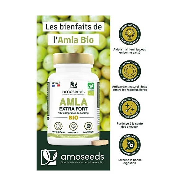 Amla BIO 180 comprimés de 500mg | Peau, Cheveux, Digestion | Amalaki, Groseille Indienne | Qualité Supérieure