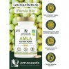 Amla BIO 180 comprimés de 500mg | Peau, Cheveux, Digestion | Amalaki, Groseille Indienne | Qualité Supérieure