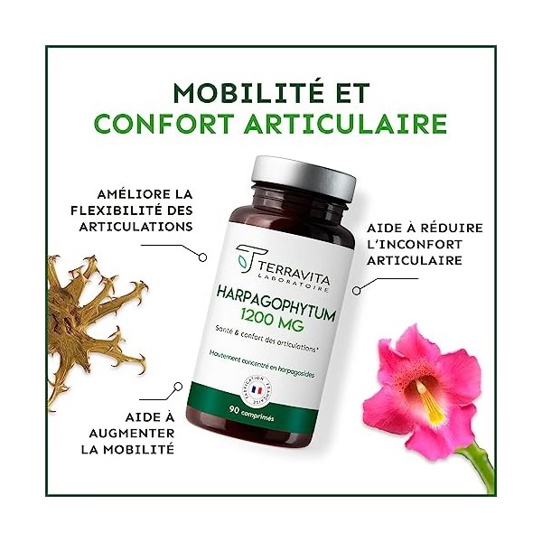 HARPAGOPHYTUM | Extrait 8:1 Ultra Concentré à 5% en Harpagosides | Douleurs Articulaires - Arthrose | Mobilité et Souplesse R