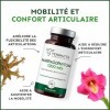 HARPAGOPHYTUM | Extrait 8:1 Ultra Concentré à 5% en Harpagosides | Douleurs Articulaires - Arthrose | Mobilité et Souplesse R