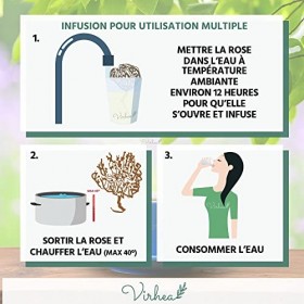 Rose de Jericho Chajarat Mariam x5 - Taille S Petit - Plante Favorisant la Fertilité [Satisfait ou Remboursé]