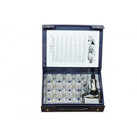 Leonidov Set de ventouses