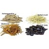 SMED Shatavar, Safed Musli, Kaunch Beej & Ashwagandha Combo Pack [25 g chacun] 100 g 