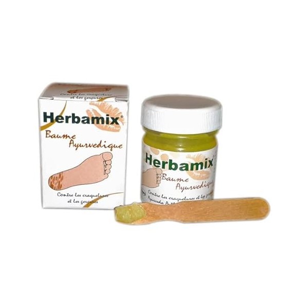 KERALA NATURE - Baume Ayurvédique Craquelures Herbamix 20G - Lot De 3