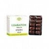 AVN Ayurveda Formulations Lumbaton Comprimés 100