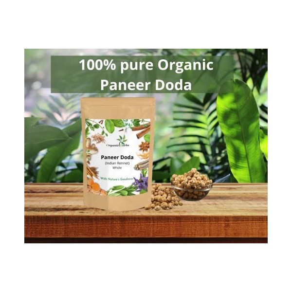 Organic herbs Rennet indien ayurvédique à base de plantes | Paneer Doda | Paneer ka Phool | Withania Coagulans 200 GM présur