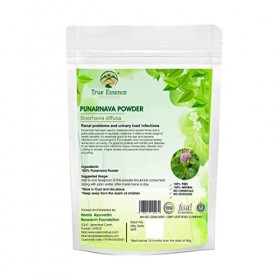 QURA Heera Ayurvédique Research Foundation Provisions Poudre Punarnava | Boerhavia Diffusa pour les problèmes rénaux et infec