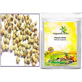 Green Velly Indian Organic Herbs® Ayurveda Paneer Phool | Paneer Doda/DODI | Withania Coagulans, Good for Health 100G 