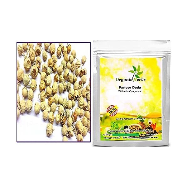 Green Velly Indian Organic Herbs® Ayurveda Paneer Phool | Paneer Doda/DODI | Withania Coagulans, Good for Health 100G 