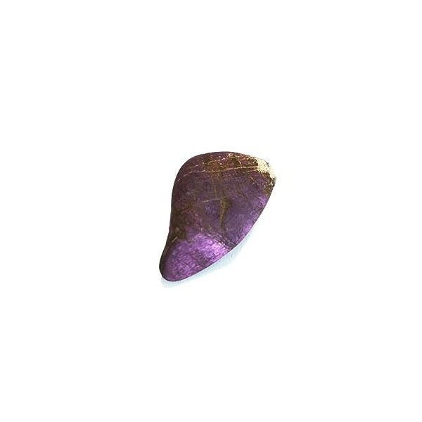 Starborn Pierre roulée de purpurite brésilienne polie 15-20 g