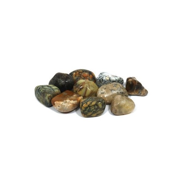 CrystalAge Merlinite Lot de 5 pierres polies 20-25 mm 