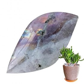 KEFFOR Cristal pour lartisanat,Cristaux Cristal Labradorite - Cristaux Massage Poche polis, Pierre souci, Artisanat Naturel 
