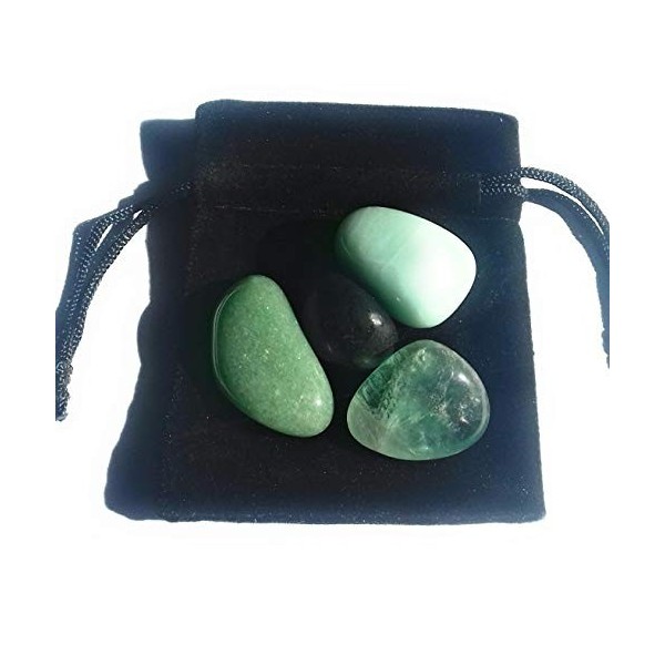 Lot de 4 cristaux de protection contre les champs électromagnétiques – Shungite – Aventurine verte – Fluorite – Amazonite – R